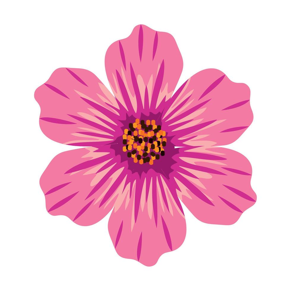 rosa Blumendekoration vektor