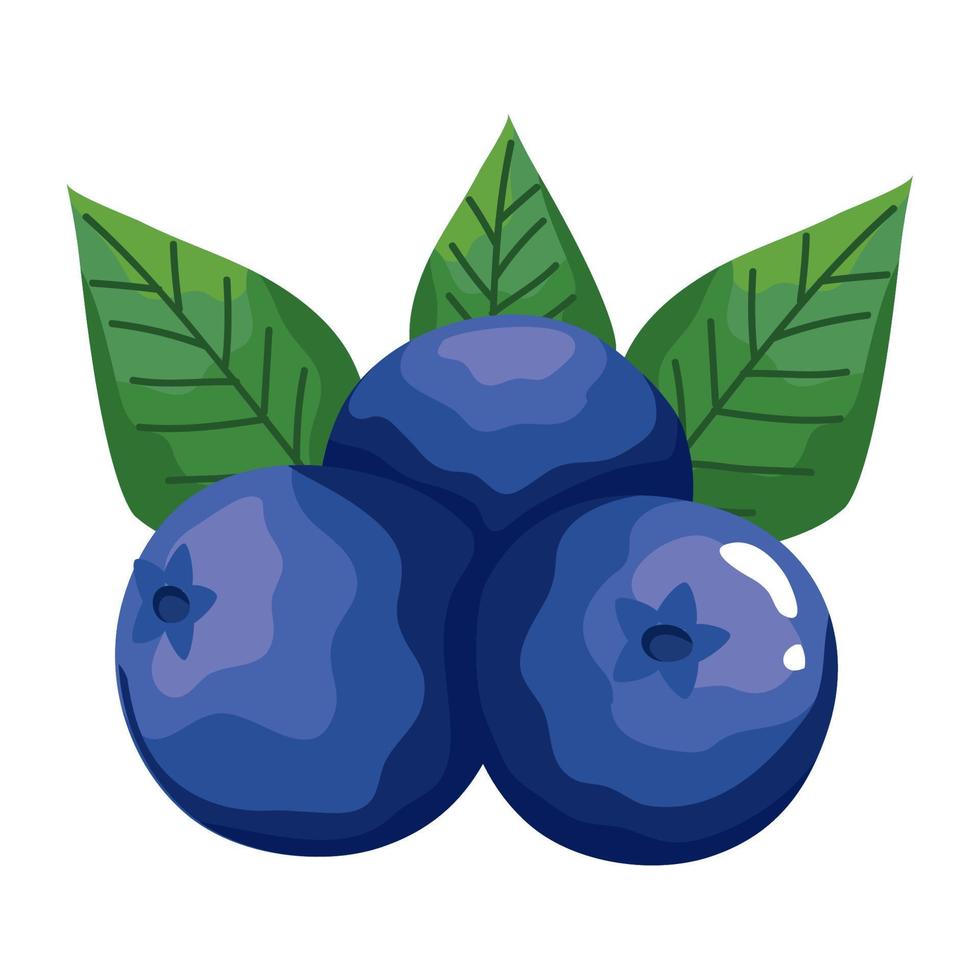 blåbär färsk frukt vektor