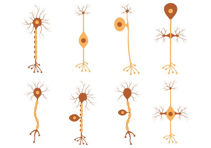 Set av Neuron Vector