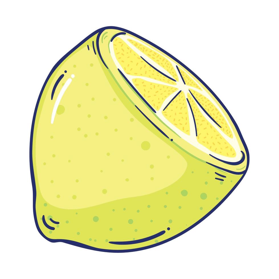 halbe Zitrone frisches Obst vektor
