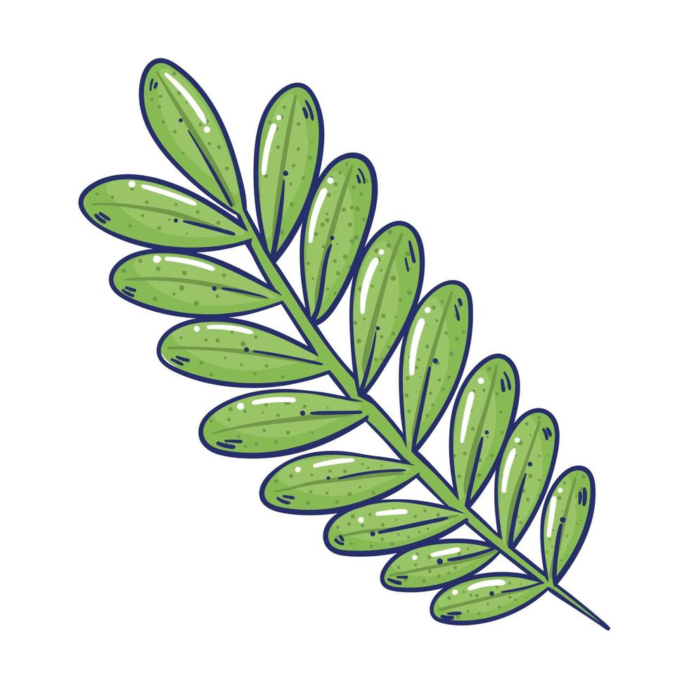 grüner Zweig mit Blättern vektor