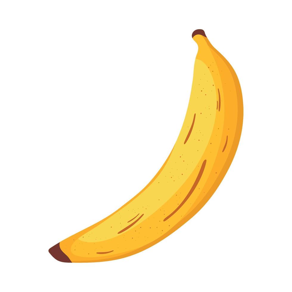 färsk banan frukt friska vektor