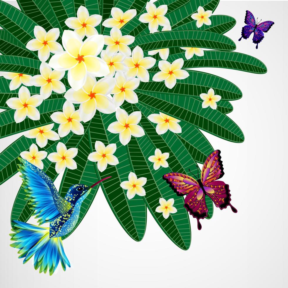 blommig design bakgrund. plumeria blommor med fåglar, fjärilar. vektor