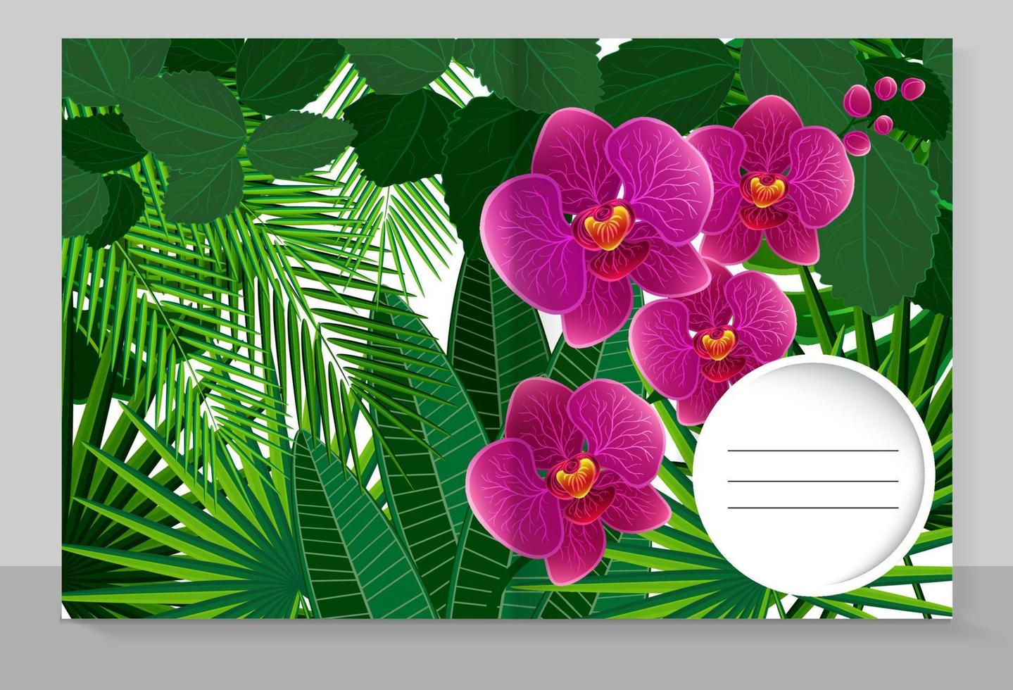 mall omslag av en häfte med ett trendig design, orkide blommor och tropisk löv mönster. vektor