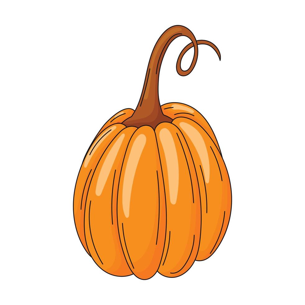 vektor lokalisierte illustration des karikaturkürbises mit trockenem schwanz für halloween-dekoration.