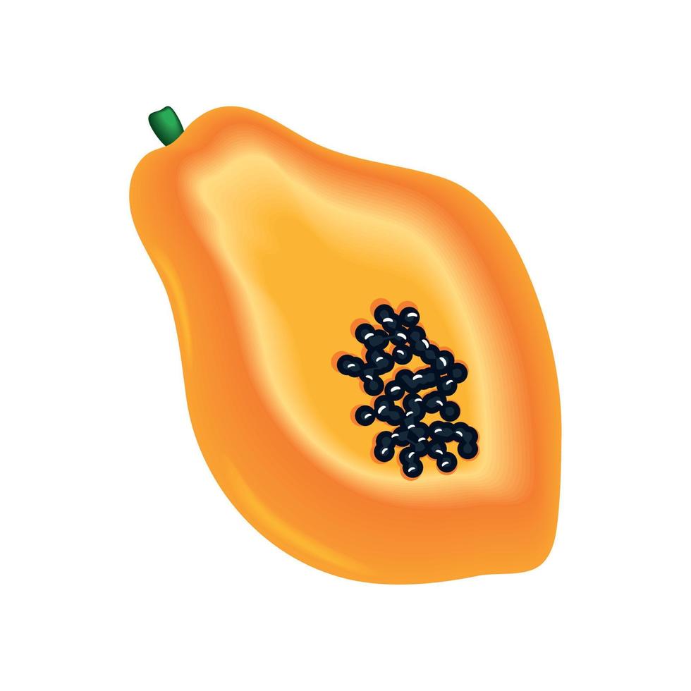 realistisk frukt papaya vektor