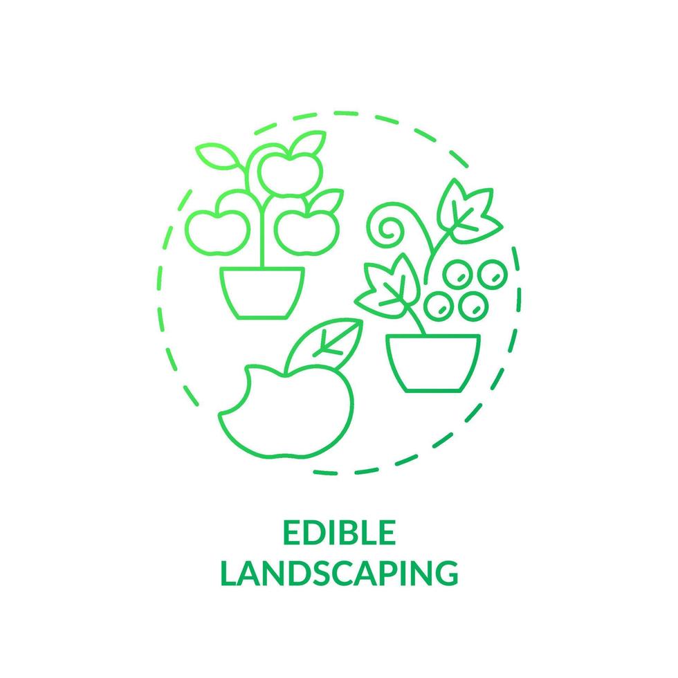 Symbol für essbare Landschaftsgestaltung mit grünem Farbverlauf. Nahrungspflanzen umfassen. wachsende Früchte. gartenmethode abstrakte idee dünne linie illustration. isolierte Umrisszeichnung. vektor