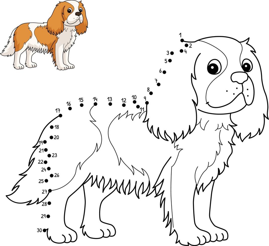 Punkt zu Punkt Cavalier King Charles Spaniel isoliert vektor