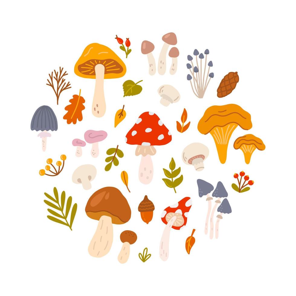 Satz verschiedener Pilze mit Beeren und Blättern von Bäumen im Kreis. vektorflache illustration im handgezeichneten stil auf weißem hintergrund vektor