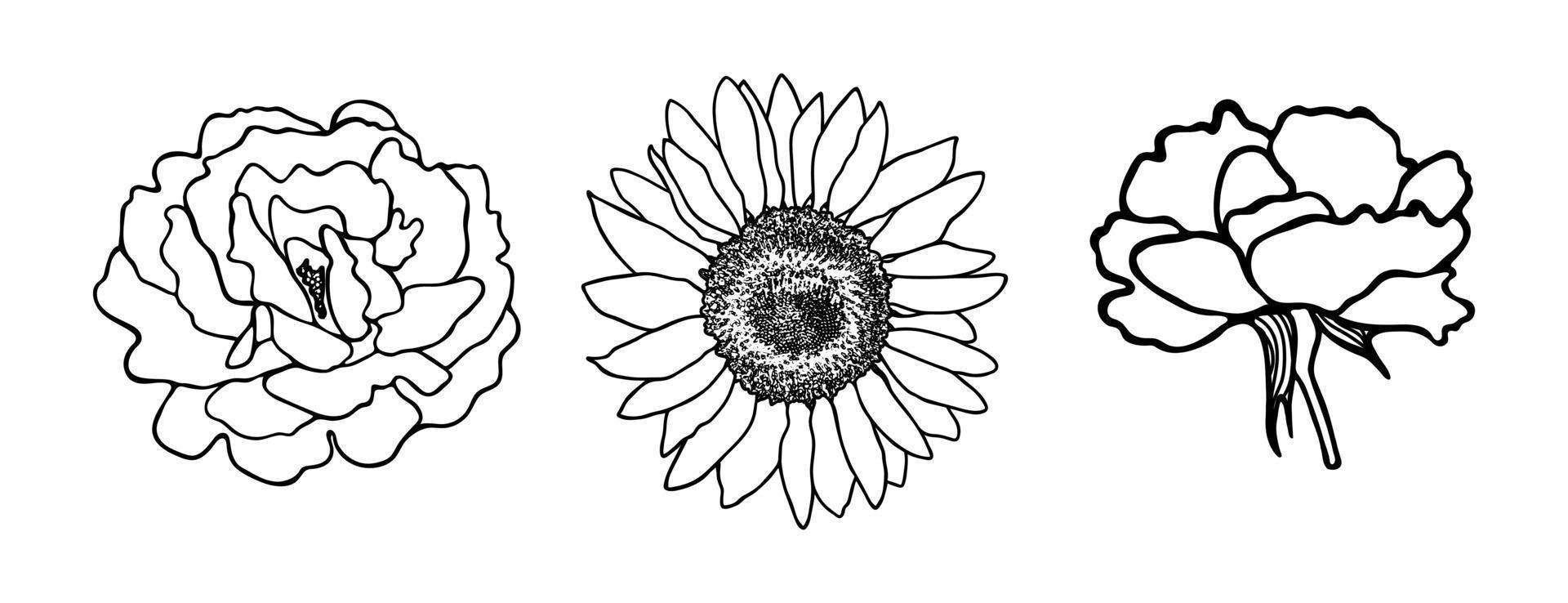 lilja blomma minimal botanisk teckning. vektor uppsättning blommiga element för design. doodle set element. illustration vektorgrafik.