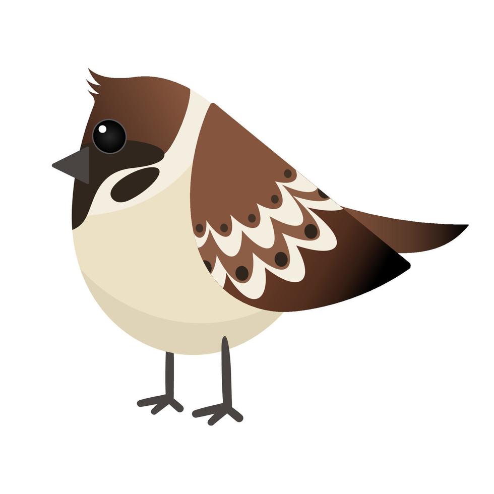 tecknad serie Sparv. fågel isolerat på en vit bakgrund vektor illustration