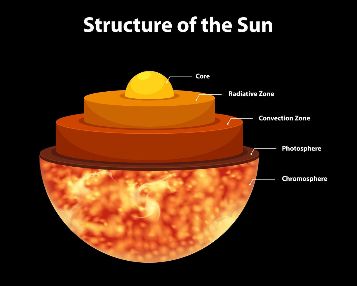 diagram som visar solens struktur vektor