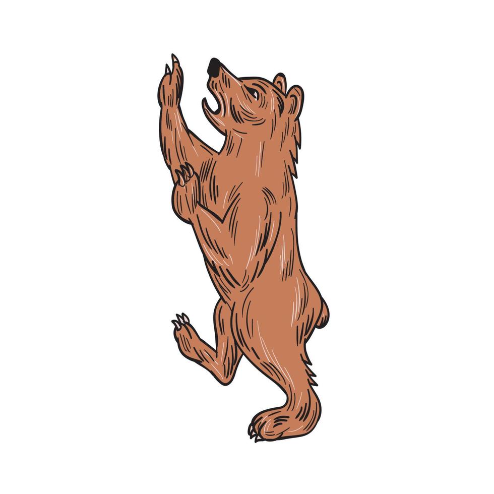 amerikan svart Björn dansande teckning vektor