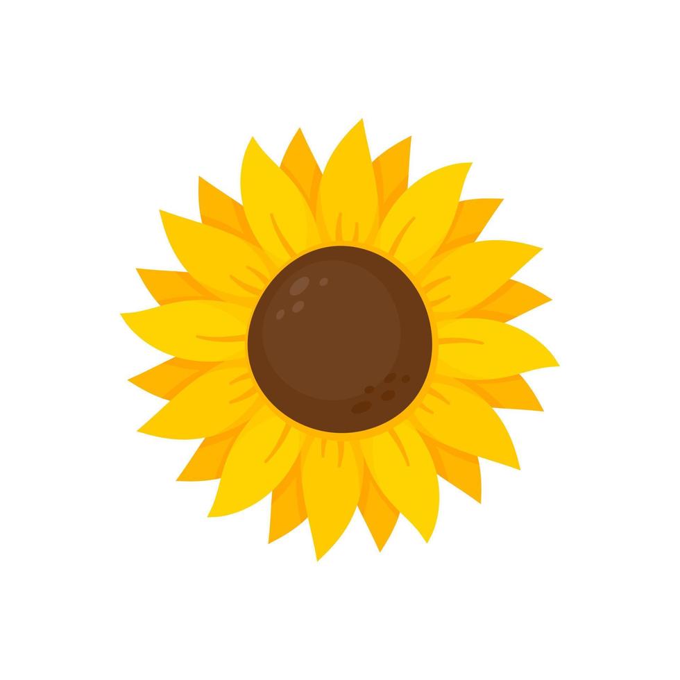 gul solrosor blomma i vår. för dekorera Välkommen tecken vektor