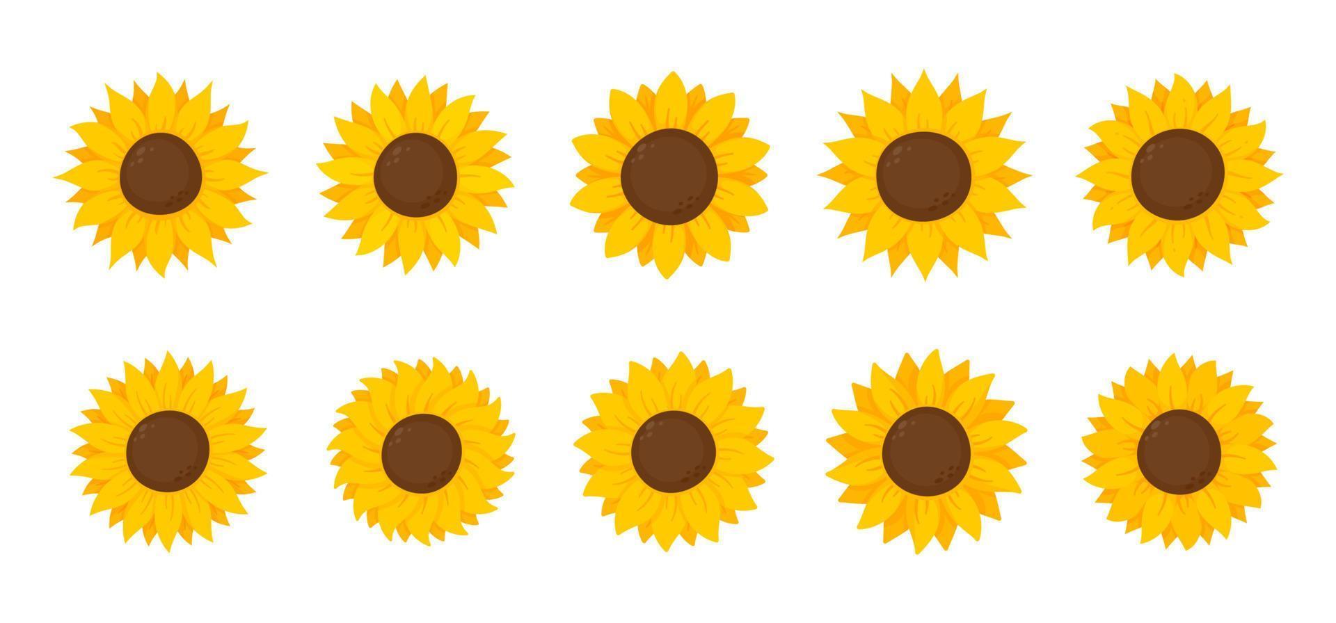 gelbe sonnenblumen blühen im frühjahr. zum Verzieren von Willkommensschildern vektor