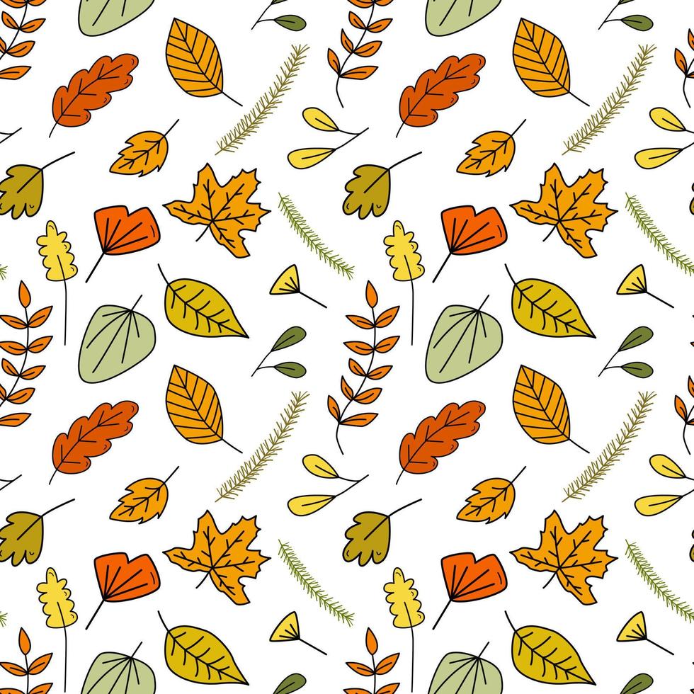 sömlös klotter mönster med skog höst färgrik löv och gran grenar. hand dragen vektor illustration för tyg, textil, bakgrunder, gåva omslag papper etc