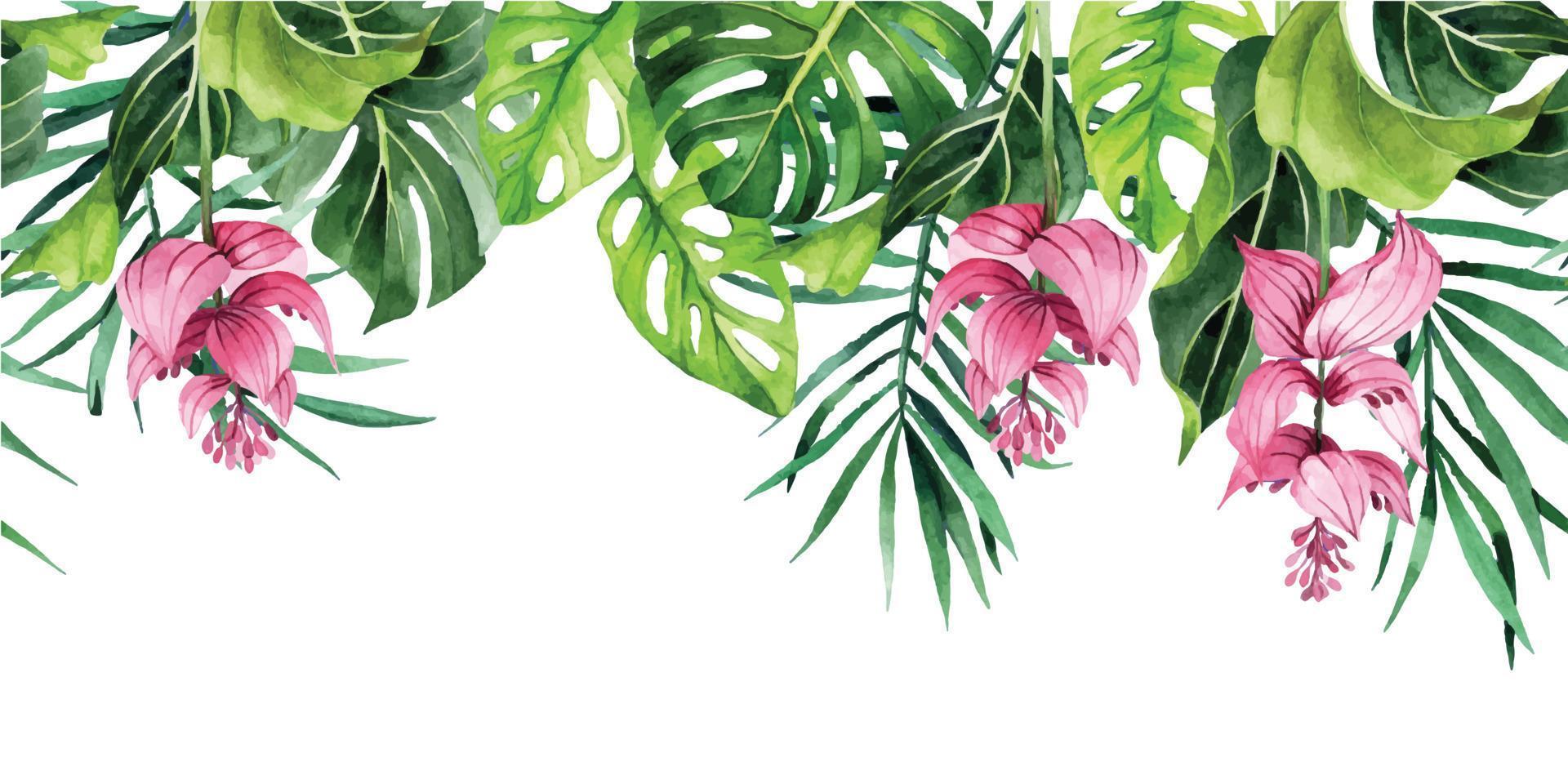 Aquarellzeichnung. horizontale grenze mit tropischen blättern und blumen. Banner mit grünen Palmblättern, Monstera vektor