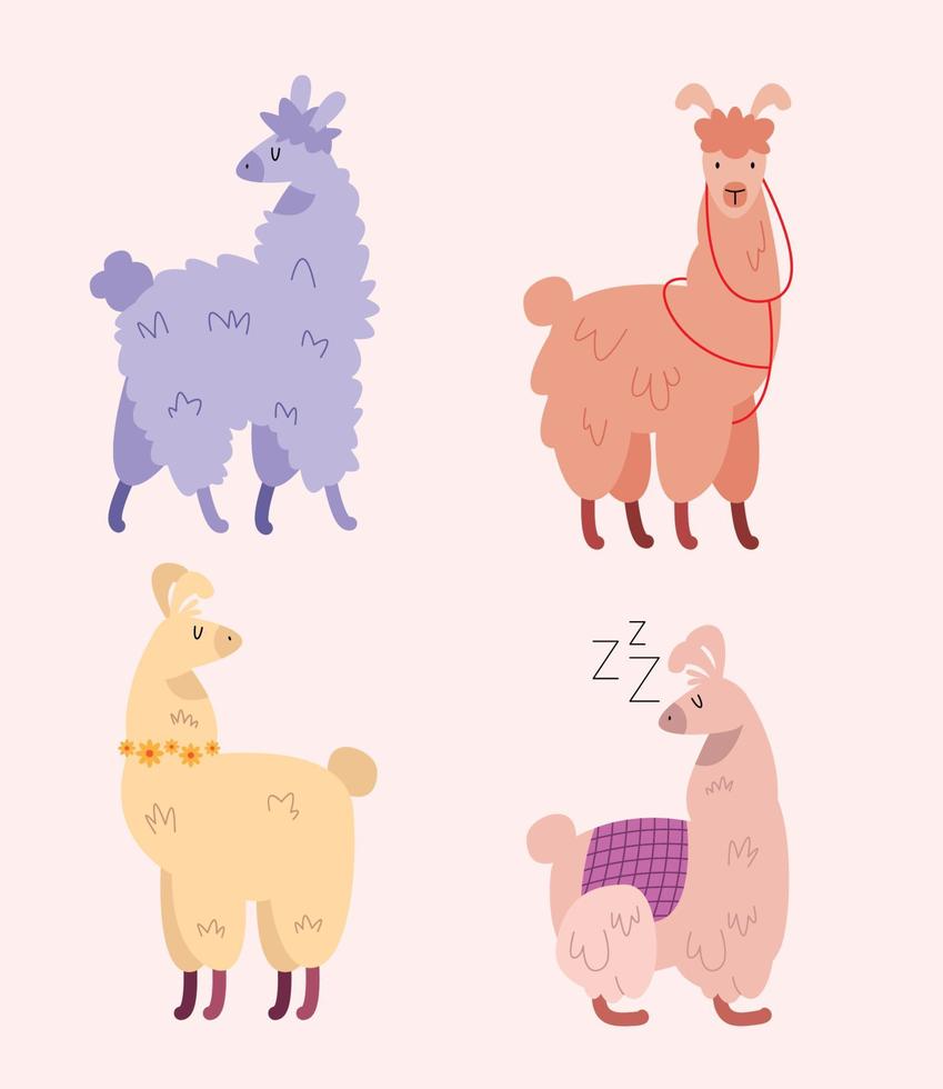 vier lamas tiere vektor