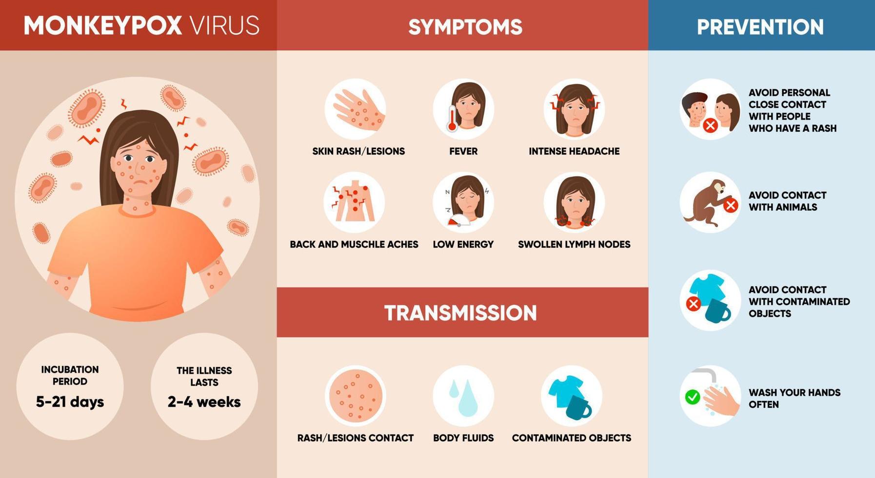 Affenpockenvirus-Symptome, Übertragung und Prävention Infografik. Poster für soziale Medien, Artikel und Flyer. Vektor-Illustration. vektor