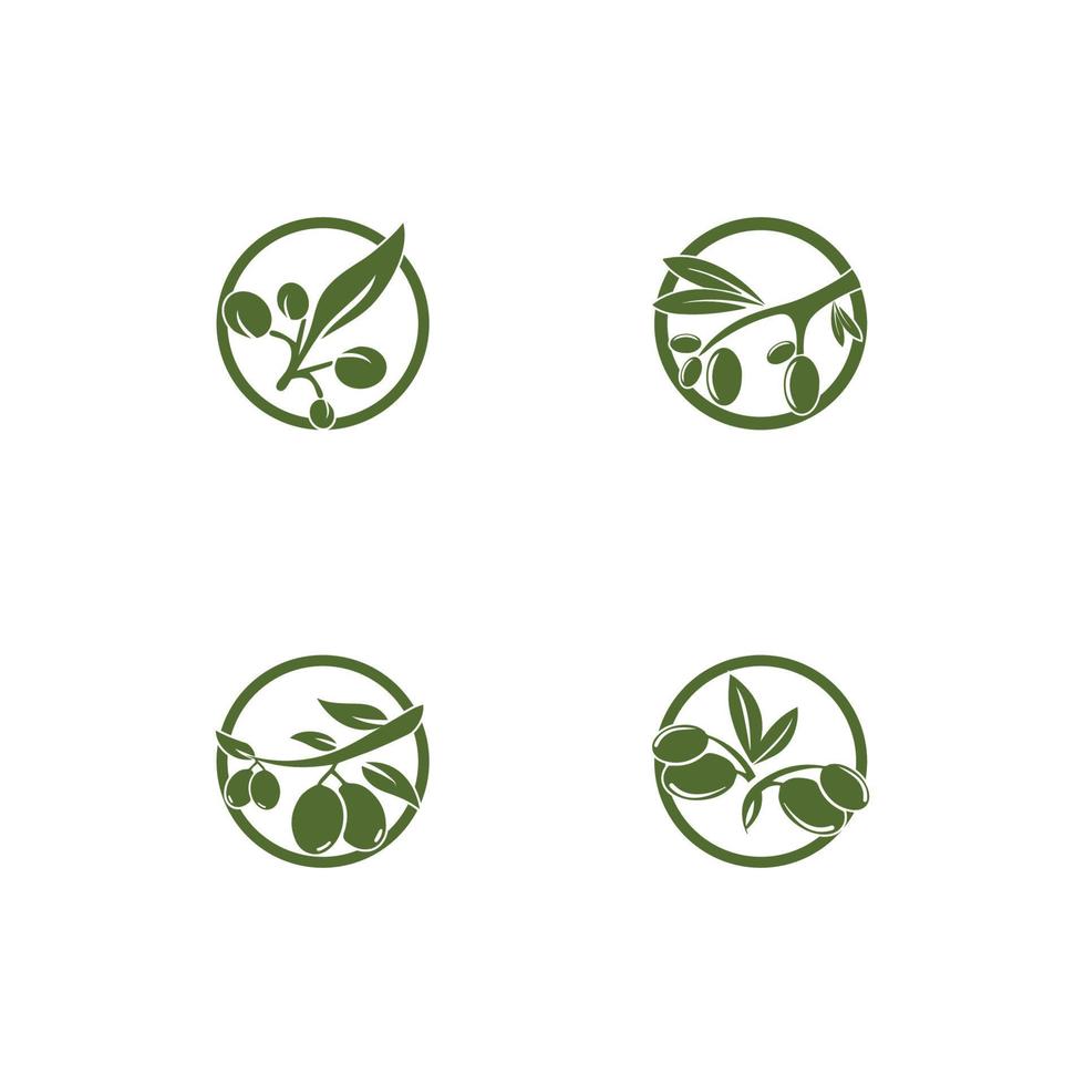 Olive Logo Vorlage Vektor Icon Illustration Design