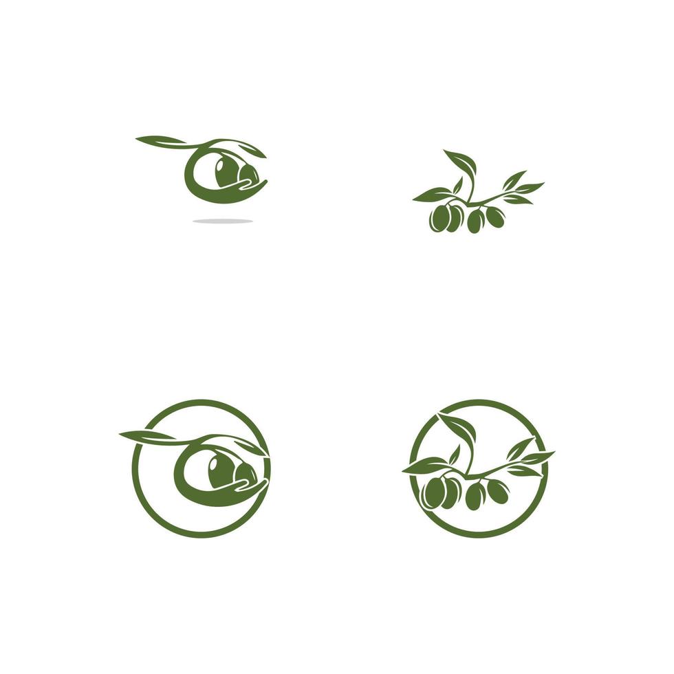 Olive Logo Vorlage Vektor Icon Illustration Design