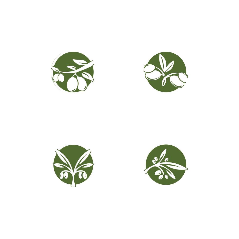 Olive Logo Vorlage Vektor Icon Illustration Design