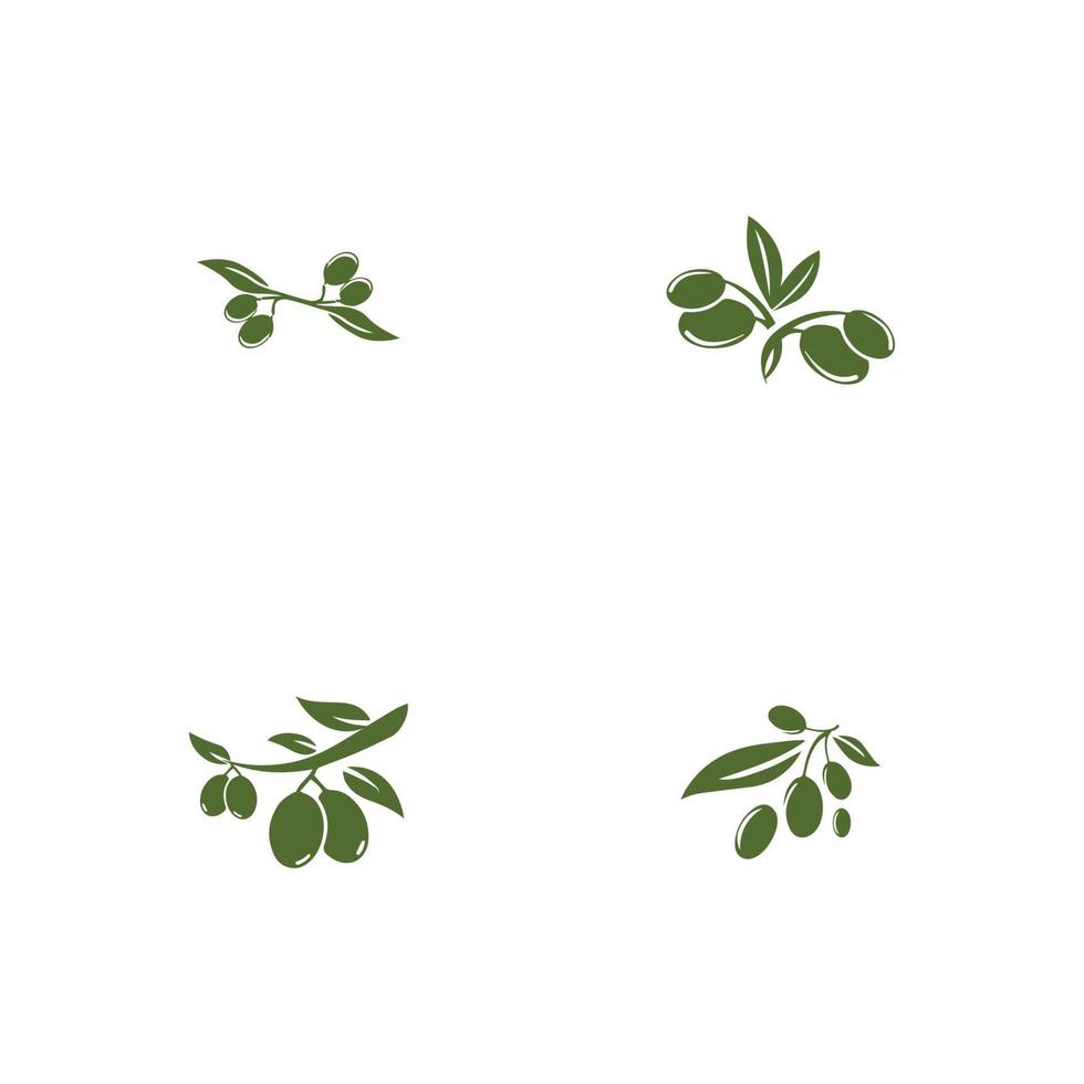 Olive Logo Vorlage Vektor Icon Illustration Design