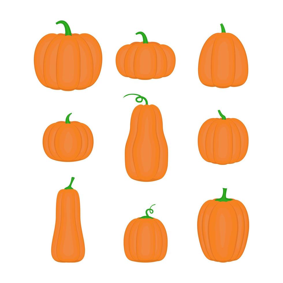 Cartoon orange Kürbisse in verschiedenen Formen. Halloween-Elemente gesetzt. vektor