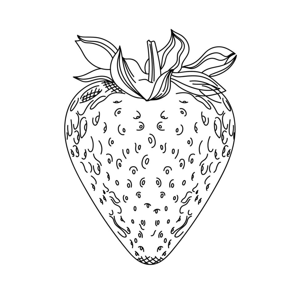 färsk jordgubbsfrukt vektor