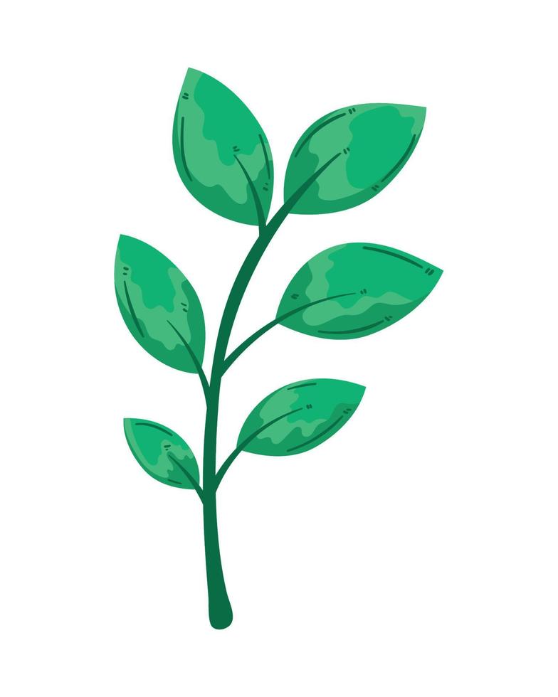 Zweigpflanze mit Blättern vektor