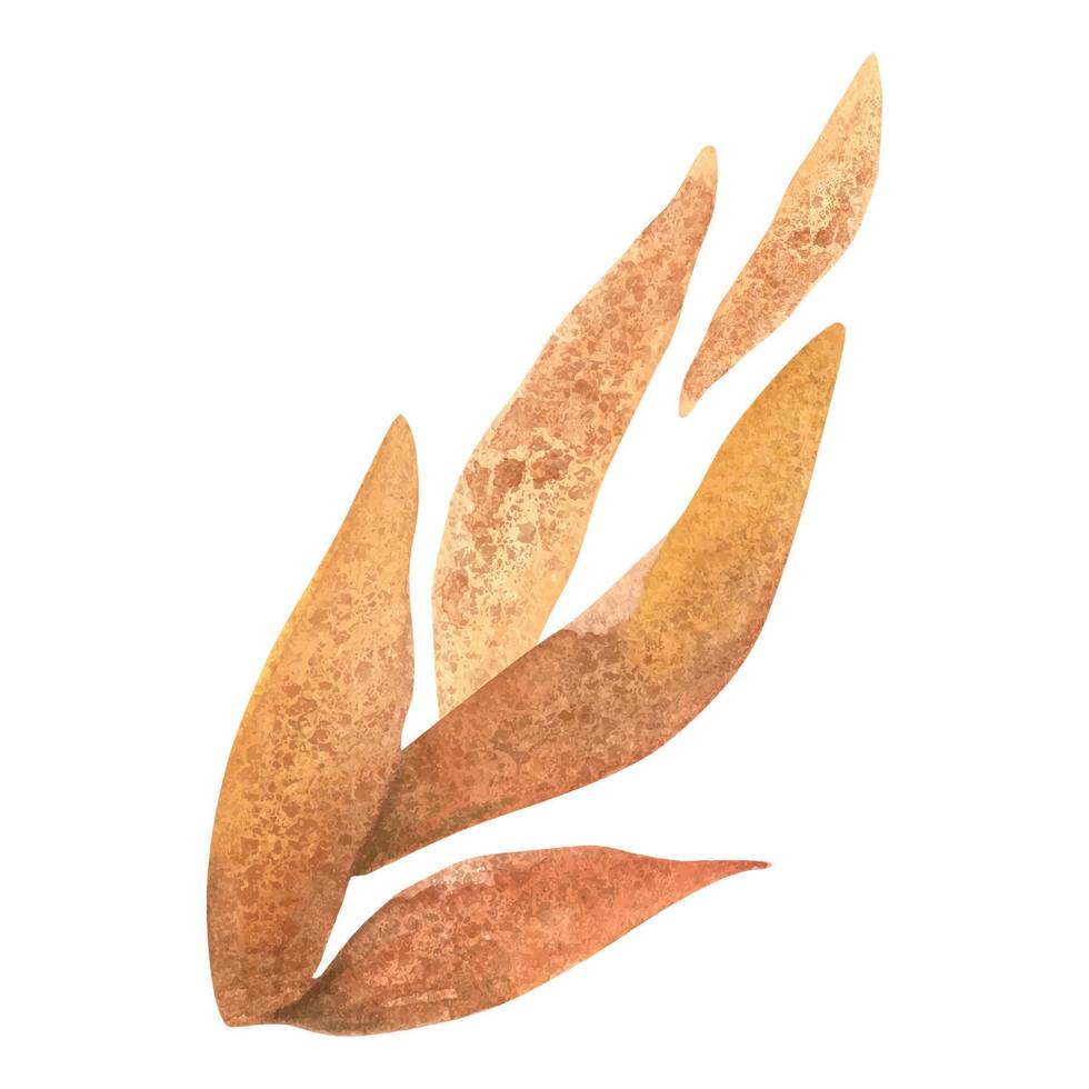 Vektor-Aquarell-Illustration eines floralen Herbstelements. herbstliche botanische Illustrationen. orange und gelbe Herbstzweige mit Blättern vektor