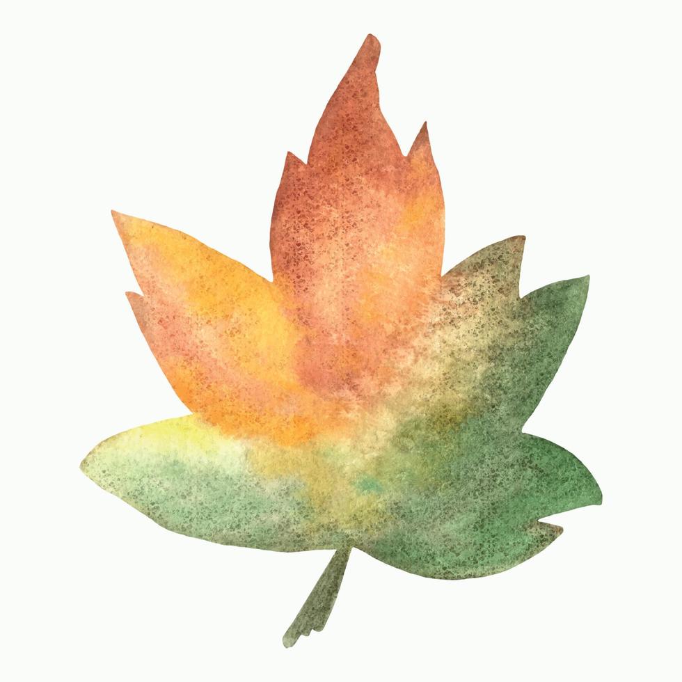 färgrik ljus höst löv målad i vattenfärg, höst illustration ritad för hand. markerad på en vit bakgrund . lämplig för höst design vektor