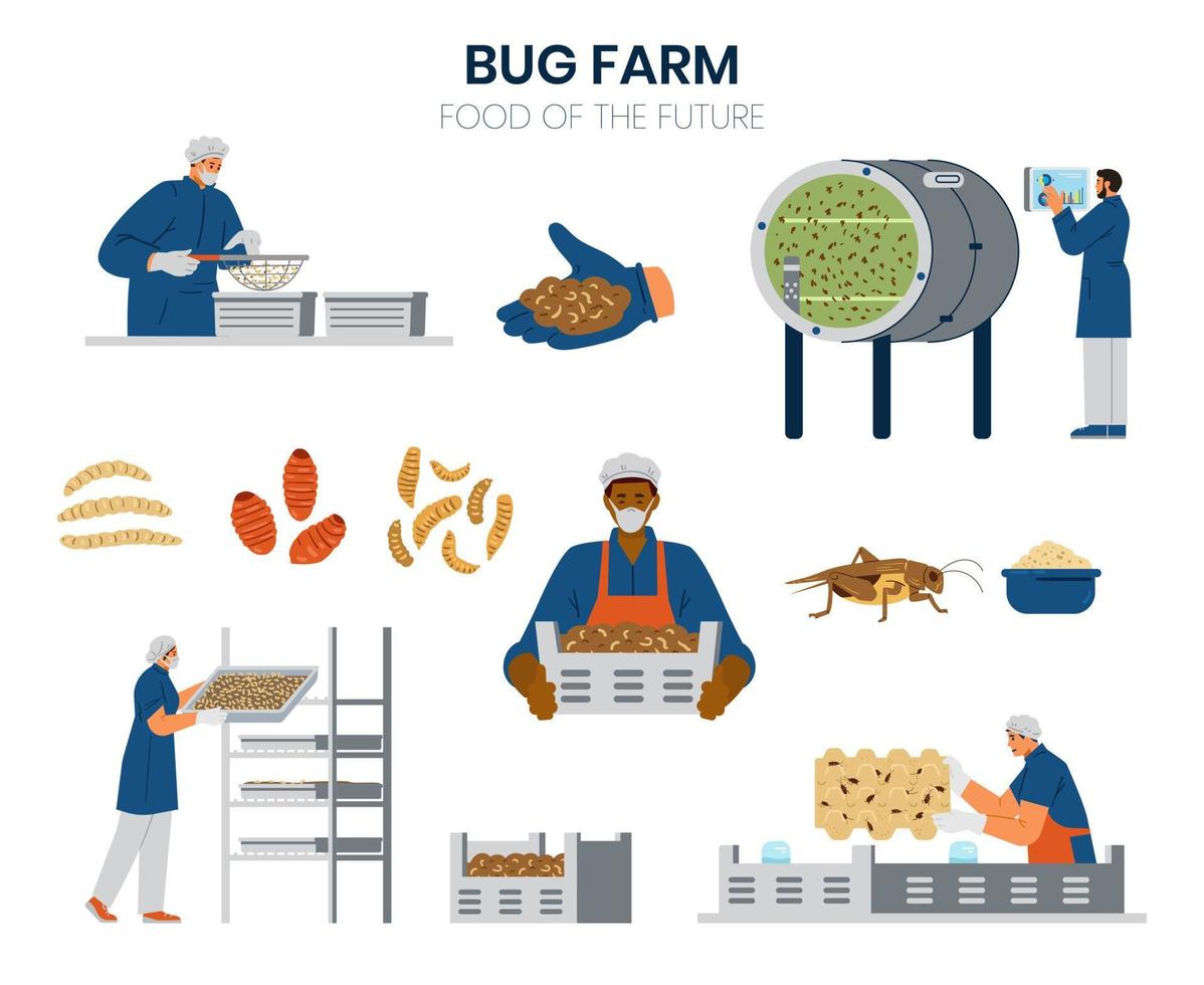 insekt jordbruk element vektor uppsättning. bönder, insekter, Utrustning illustrationer.