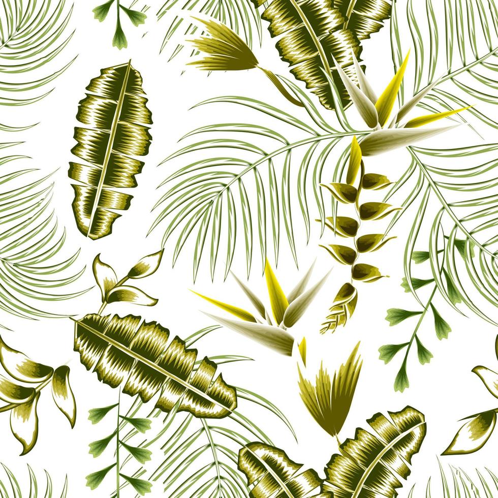 abstrakt sömlös mönster med färgrik former, banan handflatan löv och heliconia blommor grenar lövverk på vit bakgrund. exotisk illustration, blommig element isolerat. exotisk sommar skriva ut. falla vektor