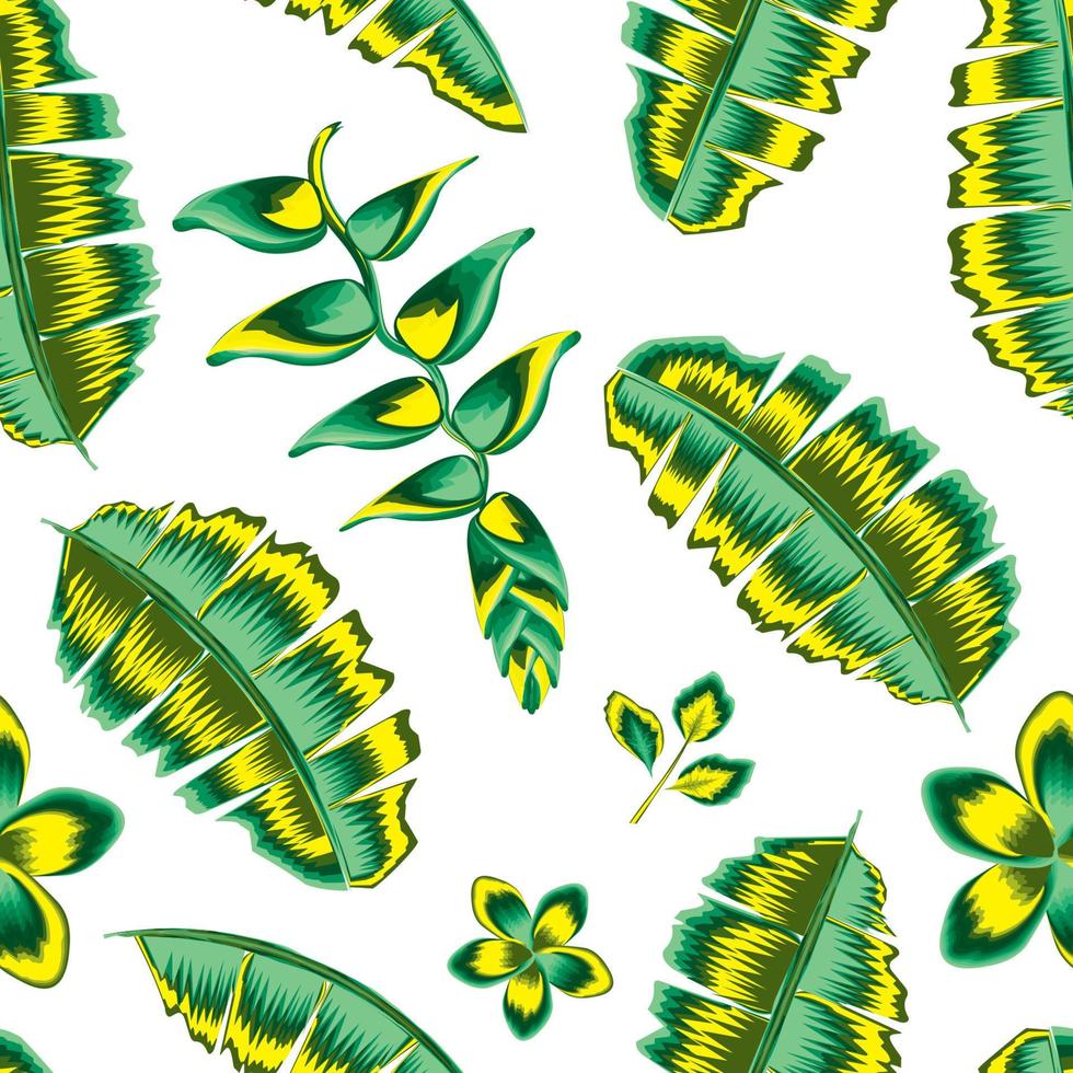 nahtloses muster der dschungellaubillustration mit bunten bananenblättern und heliconia, frangipani-blumenpflanzenlaub auf weißem hintergrund. Blumenhintergrund. exotische Tropen. Sommerdesign. Natur vektor