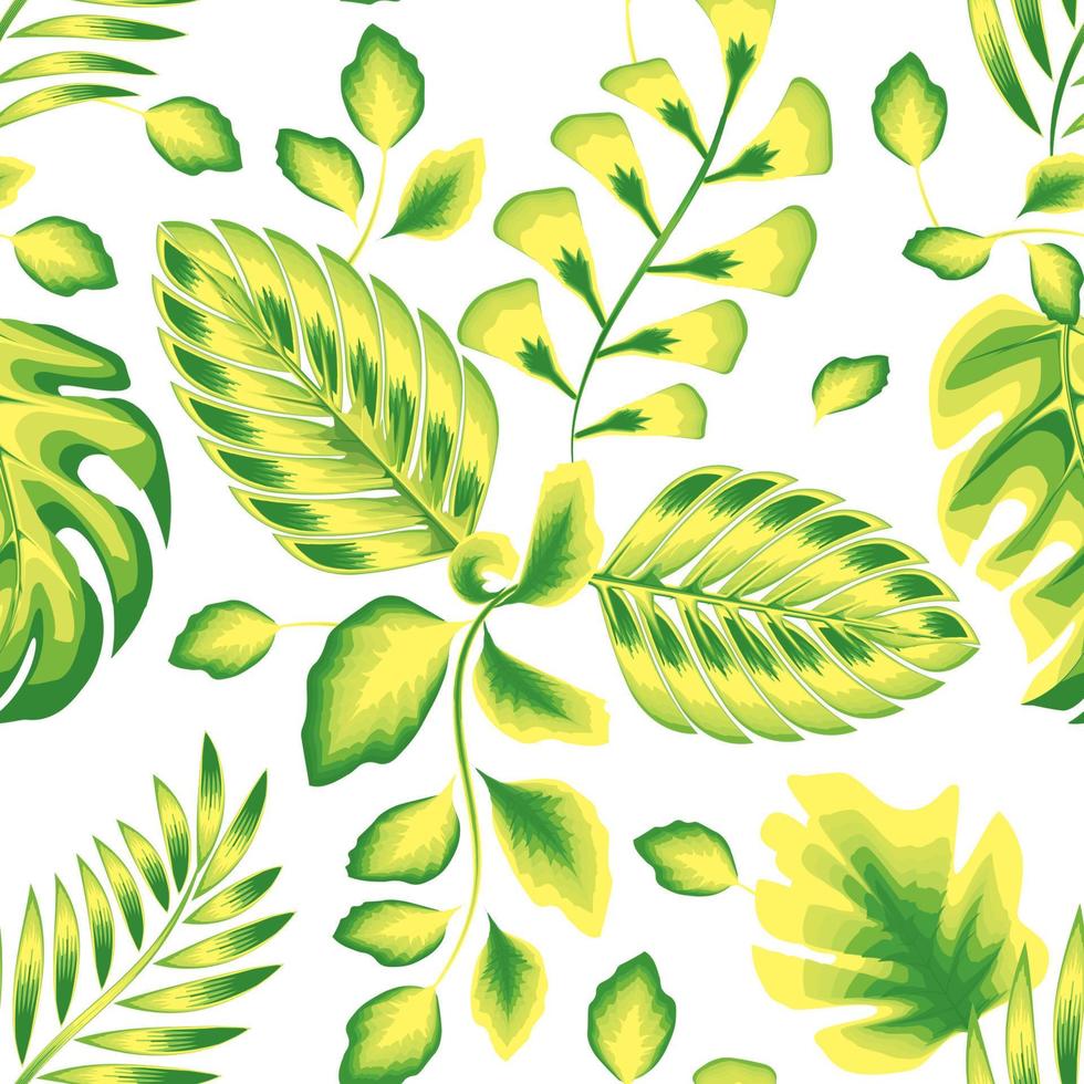 Grüne Blätter nahtloses Muster mit tropischen Monstera-Farnblattpflanzen und Laub auf weißem Hintergrund. Naturtapete. Dschungeldruck. modische drucktextur für hemdstoff oder textil. Sommer vektor