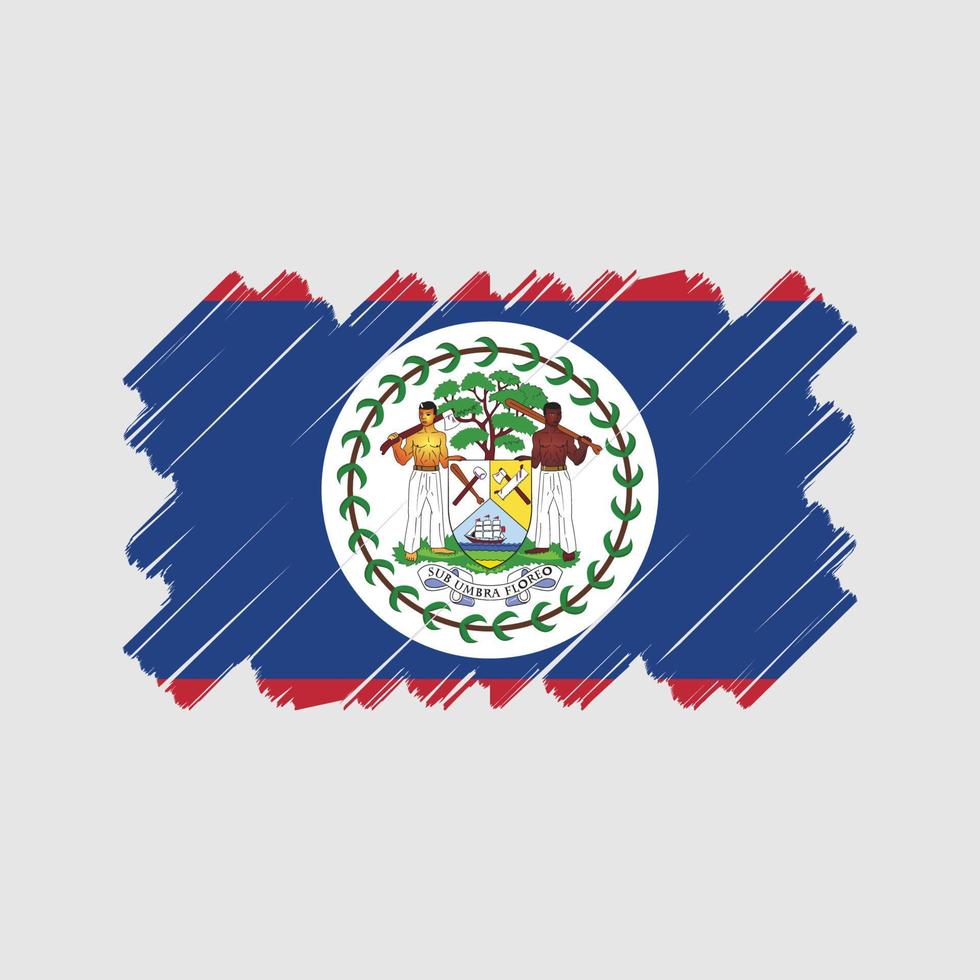 belize flagga vektor design. National flagga