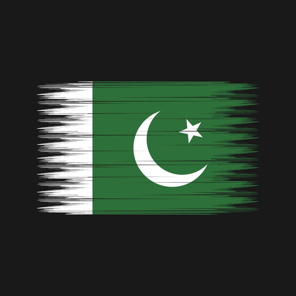 pakistansk flaggborste. National flagga vektor