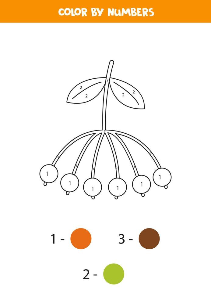Aschebeere nach Zahlen färben. Arbeitsblatt für Kinder. vektor