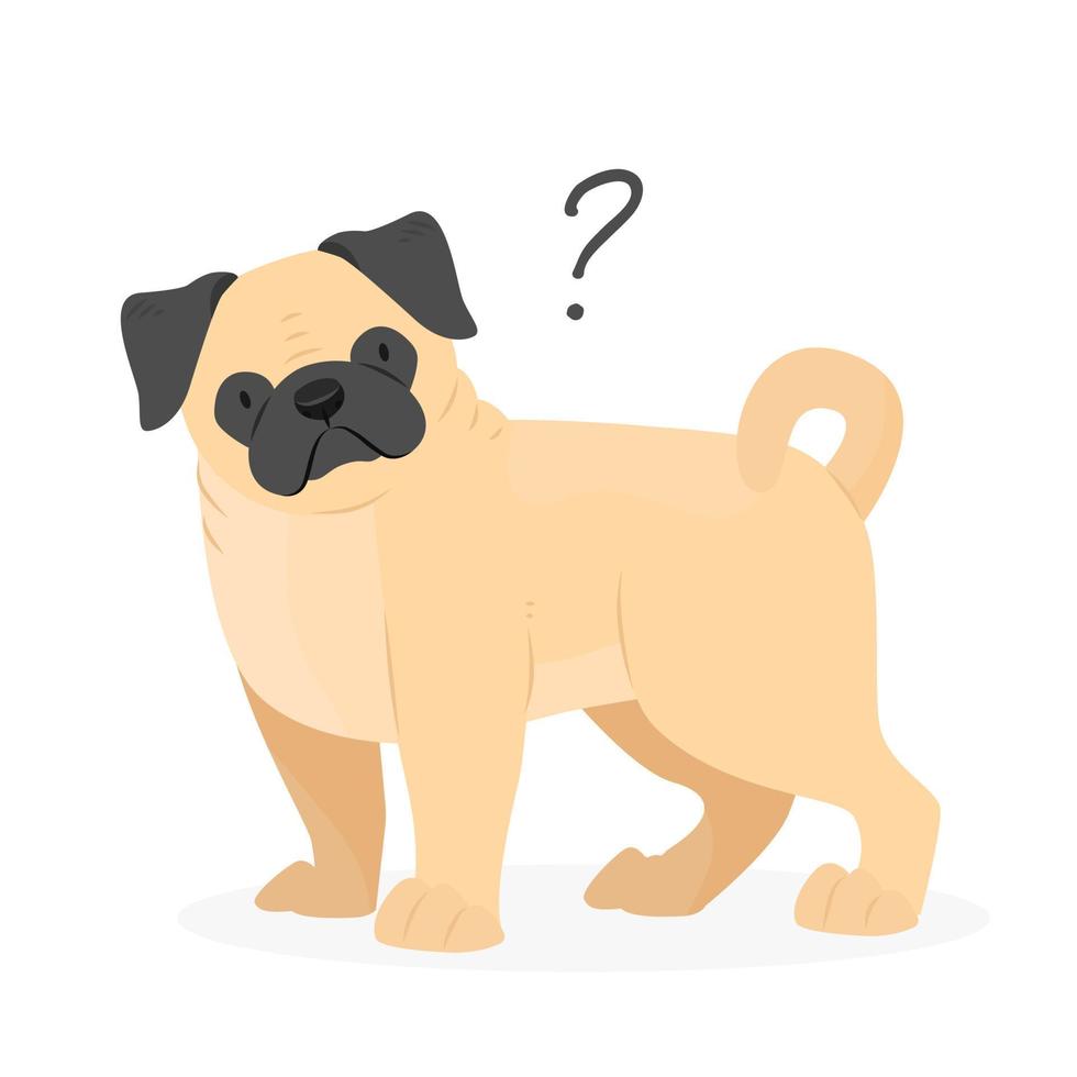 en mops hund med en fråga märke. hund fråga. ett obegriplig hund med dess huvud lutade. vektor sällskapsdjur illustration.