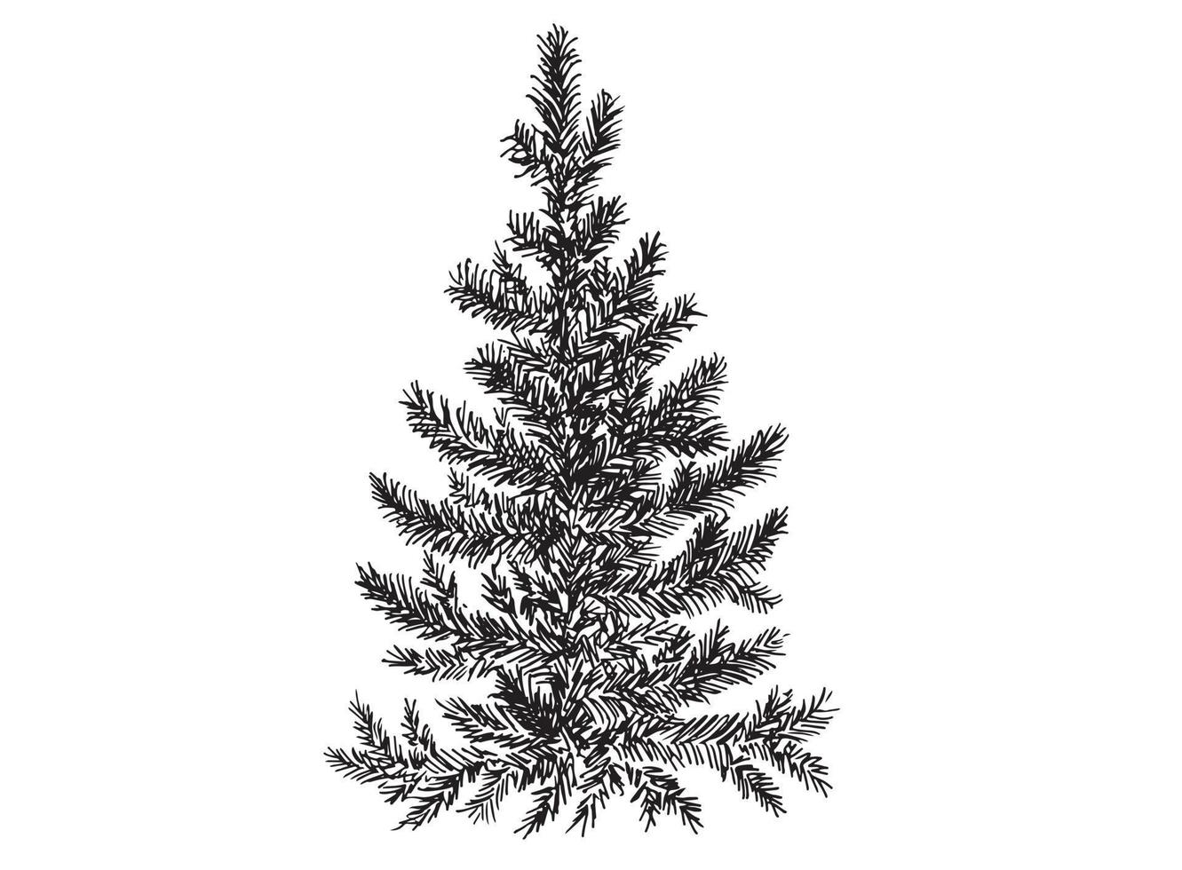 Weihnachtsbaum. handgezeichneter Stil. Vektor-Illustration. vektor