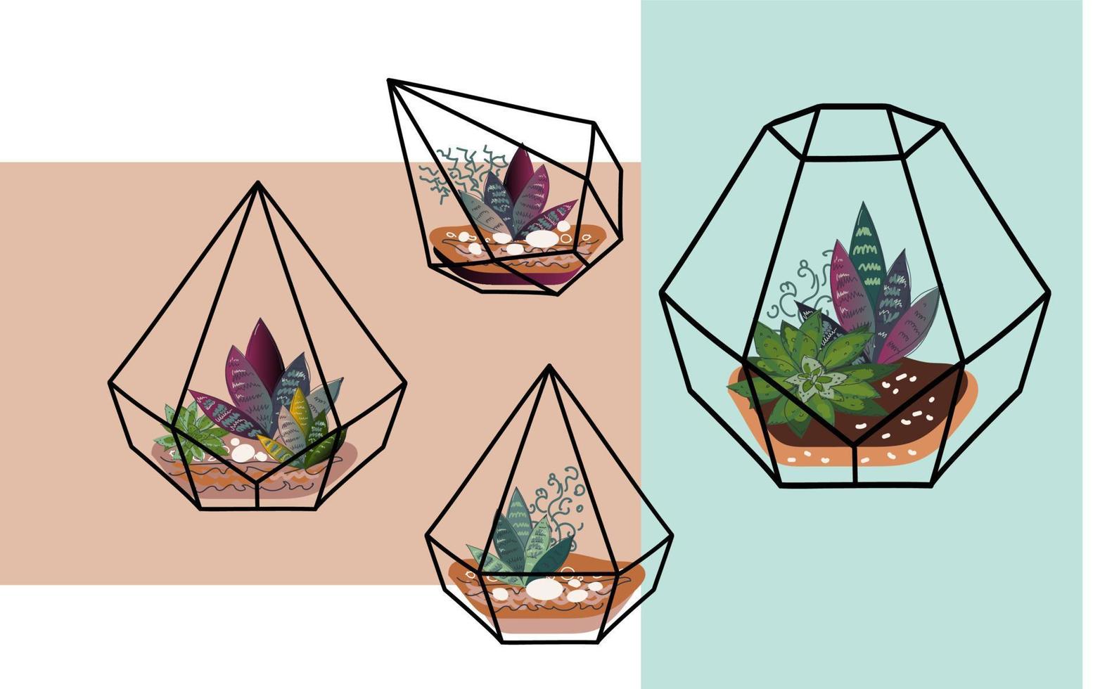 glas terrarium saftig uppsättning vektor klotter