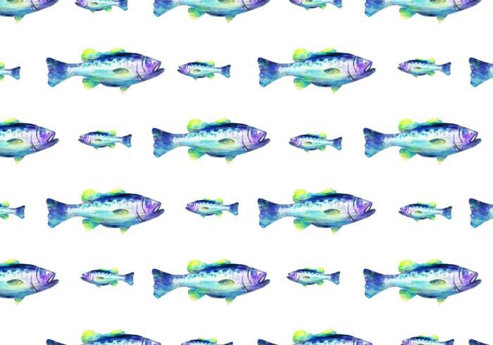 Gratis Vector Akvarell Bass Fisk Bakgrund