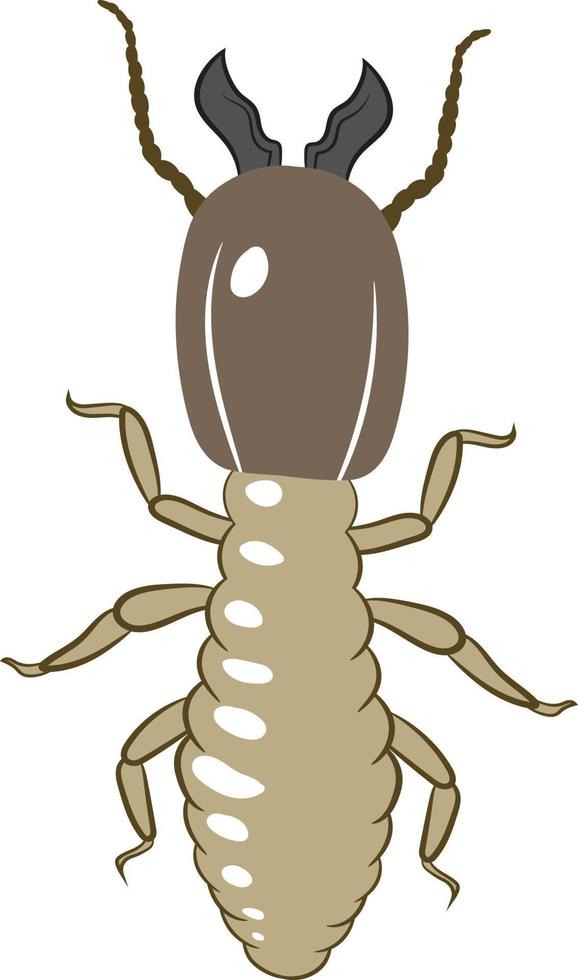 termite draufsicht 2d illustration vektor