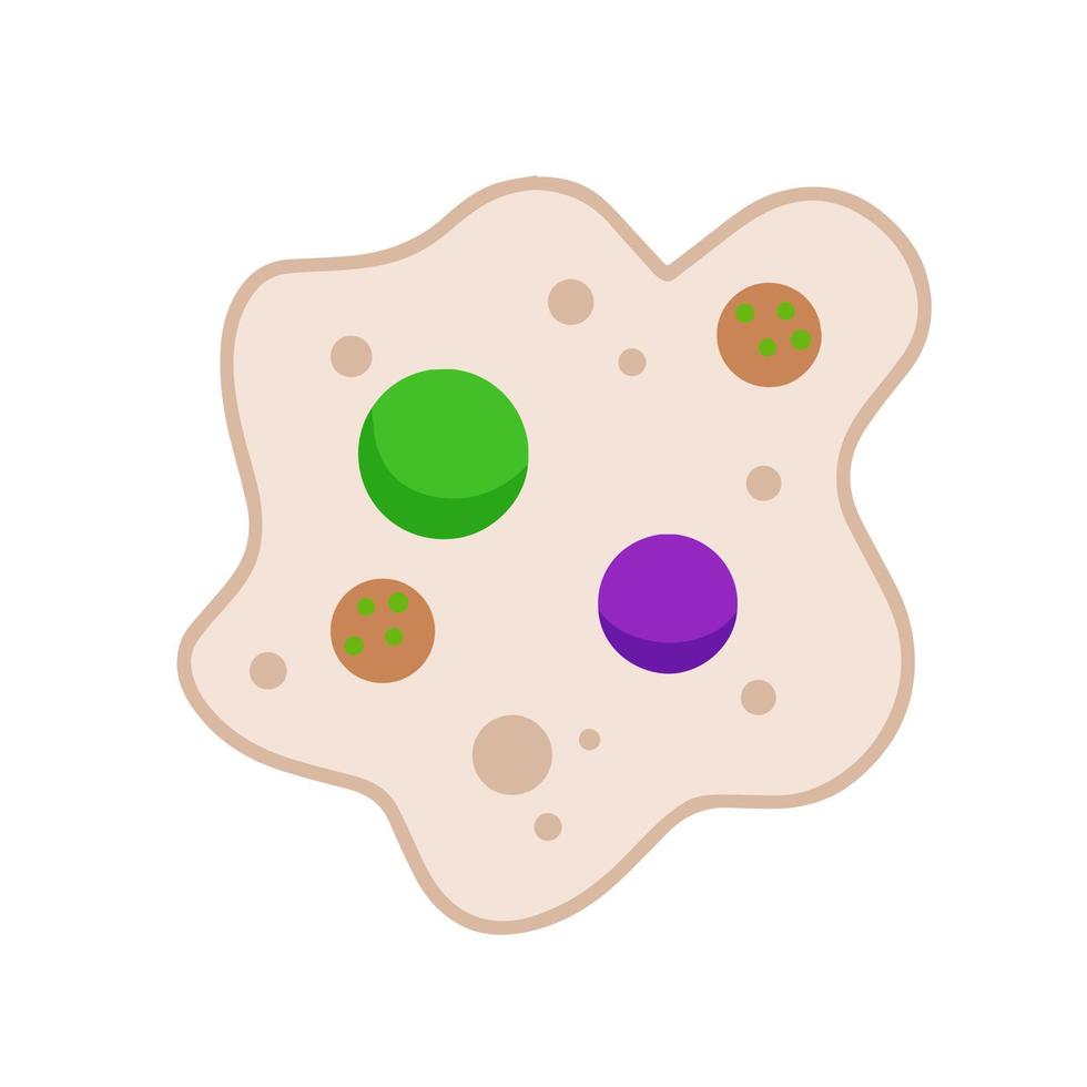 amöba cell. små encellig djur. virus och bakterie. utbildning och vetenskap. platt tecknad serie illustration vektor