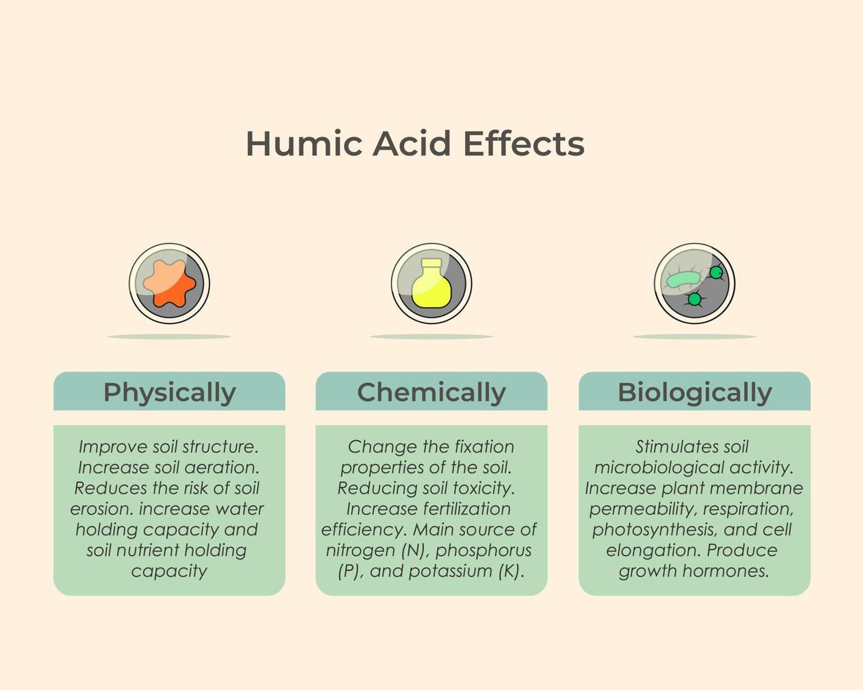 Feuchtsäurewirkung für Boden und Pflanze. Huminsäurefunktion in Physik, Chemie und Biologie vektor