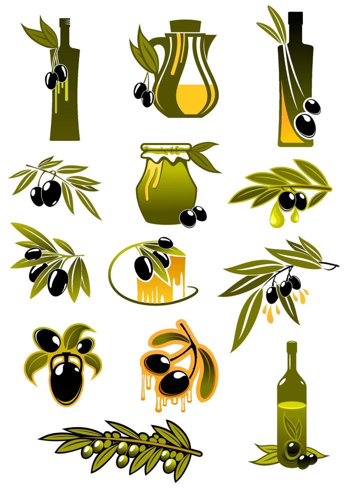oliv olja flaskor med grenar och oliver vektor