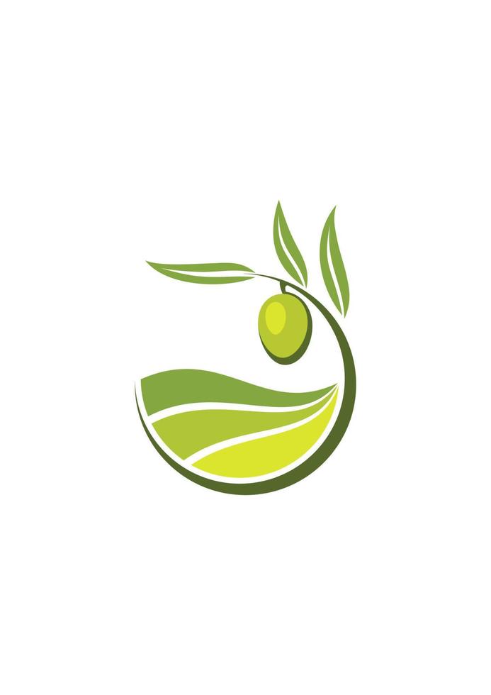 färsk grön oliv med betyg av oliv olja vektor