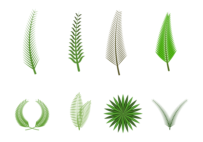 Gratis Palm Sunday Vector