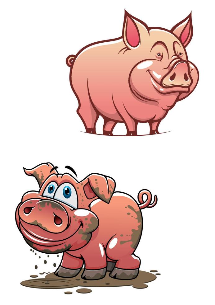 schmutziges schweinchen der karikatur und sauberes rosa schwein vektor
